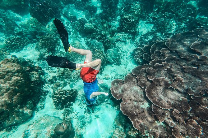 Koh Tao VIP Snorkelling Tour - The 90-minute speedboat ride to Koh Tao