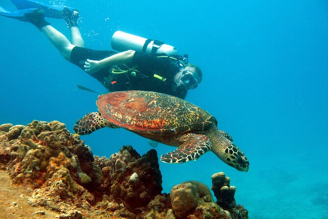 Koh Tao VIP Snorkelling Tour - The return to Koh Samui around 4:30 pm