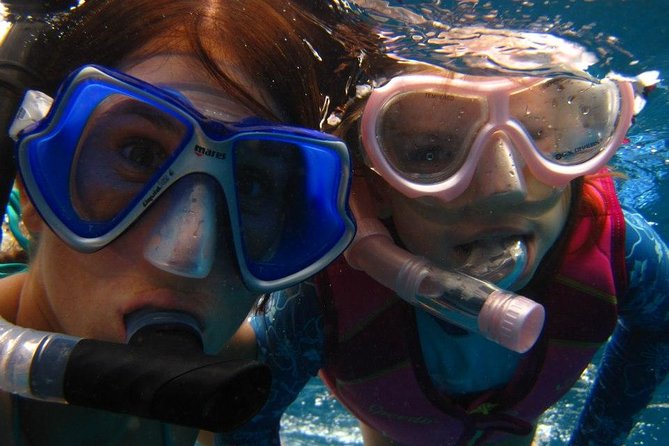 Kona Luxury Catamaran Yacht Snorkel & Sail - Snorkeling with better equipment and more help
