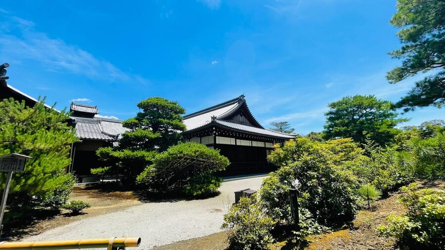 Kyoto Day Tour with Certified Tour Guide & Luxury vehicle - What the private format really changes
