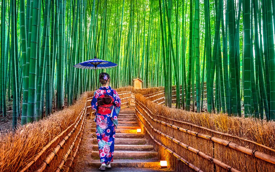 Kyoto Day Tour with Certified Tour Guide & Luxury vehicle - One long day, seven major Kyoto stops