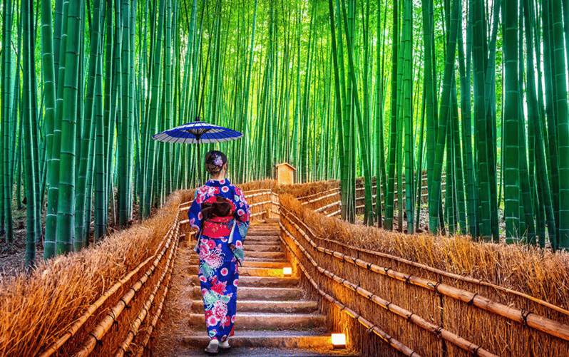 Kyoto Day Tour with Certified Tour Guide & Luxury vehicle - Kinkaku-ji: Kyoto’s famous golden pavilion