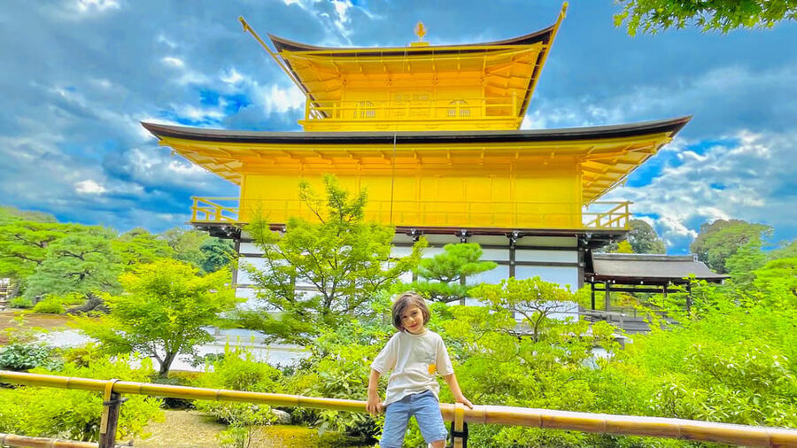 Kyoto Day Tour with Certified Tour Guide & Luxury vehicle - Fushimi Inari Taisha: red gates and uphill choices
