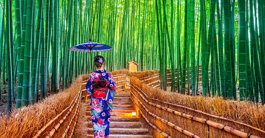 Kyoto Day Tour with Certified Tour Guide & Luxury vehicle - Arashiyama: bamboo, river views, and a quick start