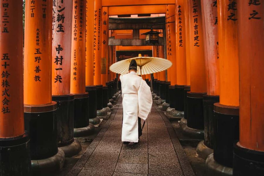 Kyoto & Nara Private Luxury Car Tour: Encounter with Deer - Key points at a glance