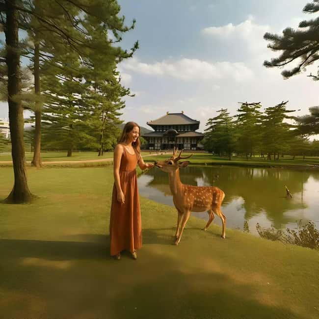 Kyoto & Nara Private Luxury Car Tour: Encounter with Deer - Crowds, heat, and the limits of a big day