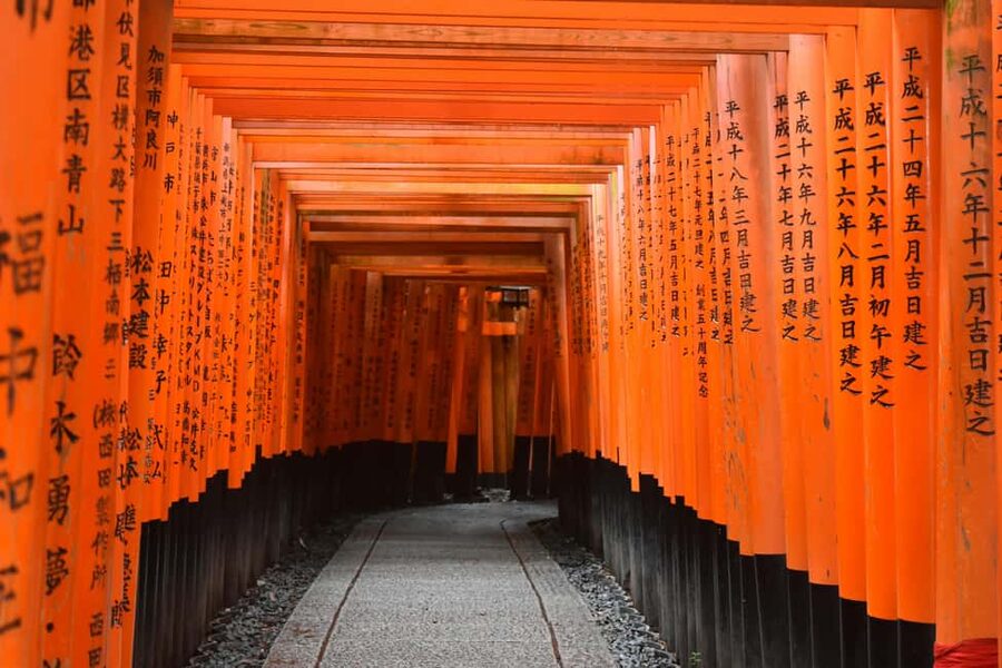 Kyoto & Nara Private Luxury Car Tour: Encounter with Deer - Kinkakuji, Kyoto’s golden opening scene