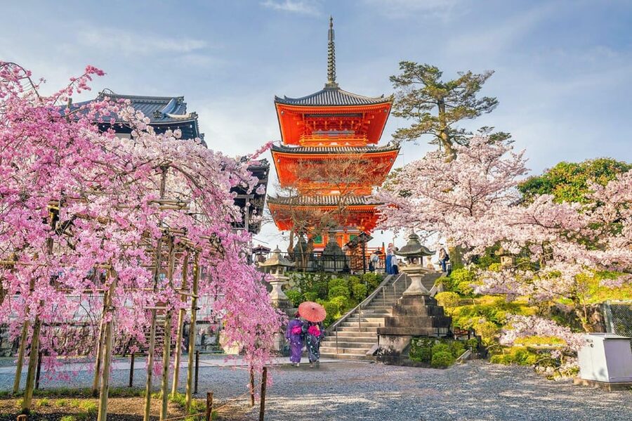 Kyoto: Private Highlights Tour with Guide and Luxury Vehicle - Nishiki Market supplies the lunch decision