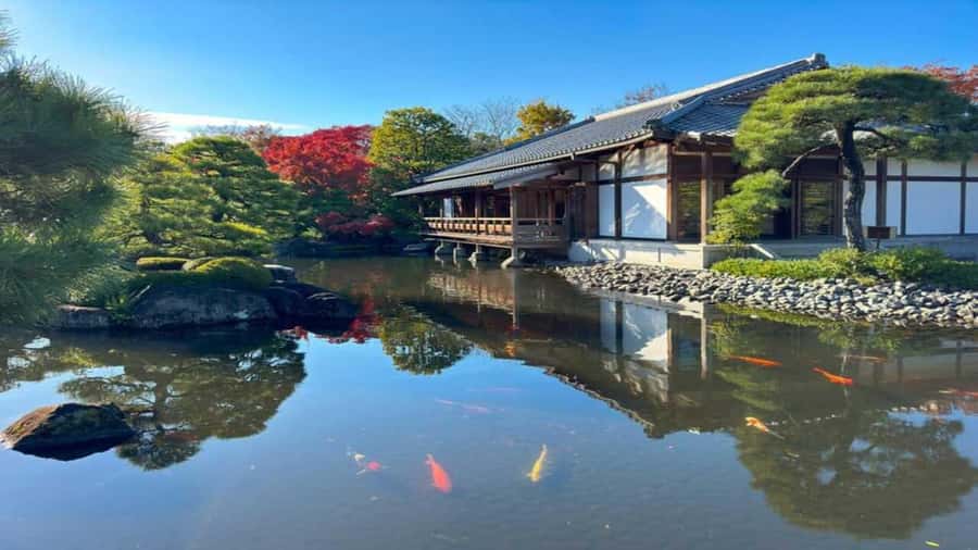 Kyoto:Private Tour/Luxury Vehicle with Guide & photographer - Comfort, pace, and the role of the driver-guide