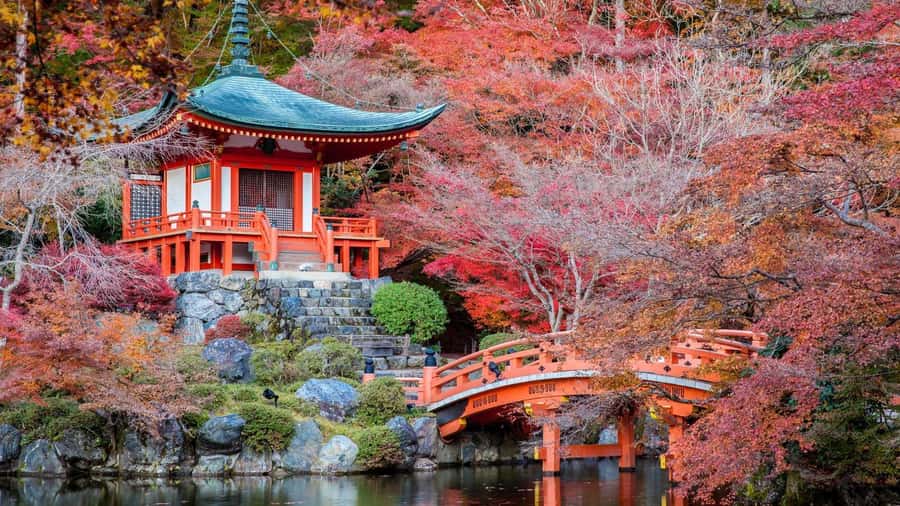 Kyoto:Private Tour/Luxury Vehicle with Guide & photographer - Who should book this Kyoto tour?