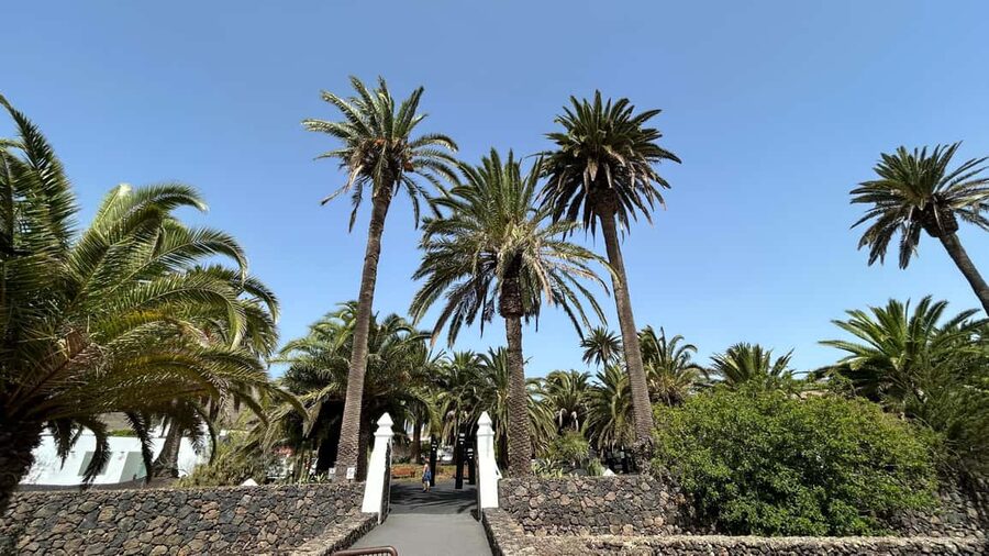 Lanzarote: VIP Island Grand Tour - What this Lanzarote day tour is really like