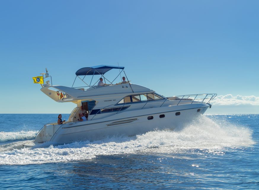 Las Galletas: Private Luxury Yacht Cruise with Lunch - Whale and dolphin watching on Tenerife’s south coast