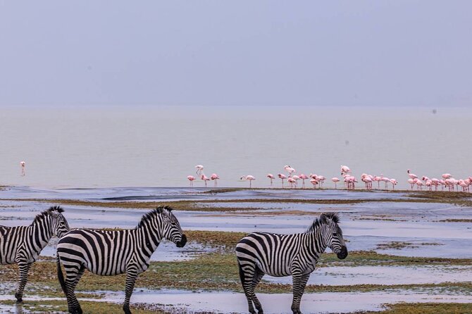 Leopard Luxury Safari in Tanzania - Olduvai Gorge: a meaningful break on the way to Serengeti