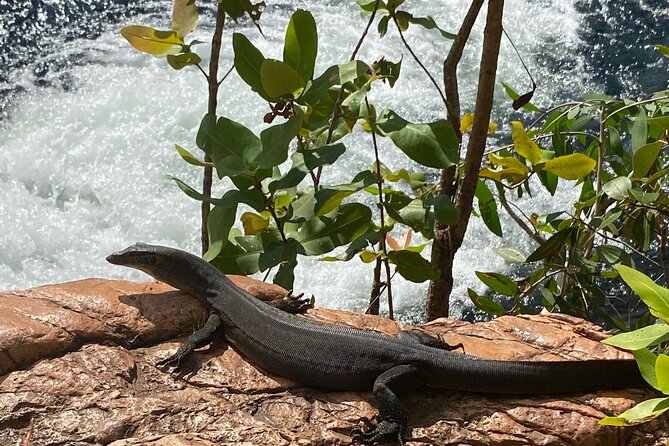 Litchfield & Berry Springs VIP Adventure Day Tours (group of 11) - Tolmer Falls is the scenic pause