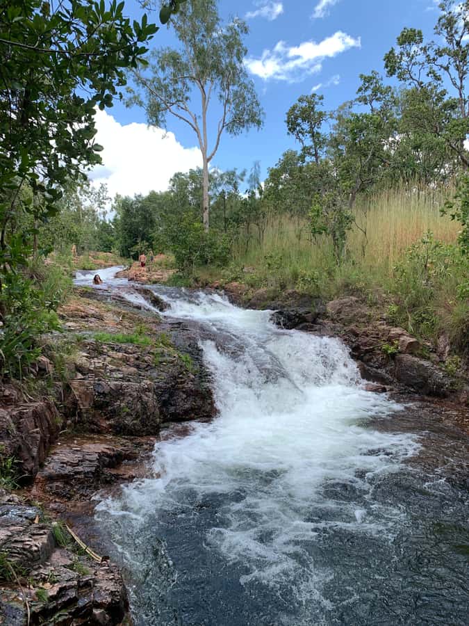 Litchfield VIP Tours, Litchfield National Park, Day Tours, - Food and drinks are a major part of the value