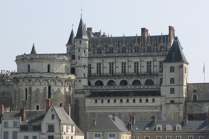 Loire Valley Castles VIP Private Tour: Chambord, Chenonceaux, Amboise - Who should book this private château tour?