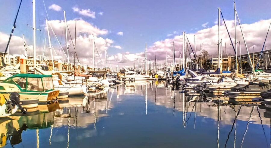 Los Angeles #1: Luxury Boat Cruise-Wine, Cheese & Sea Lions - Music and the mood on board