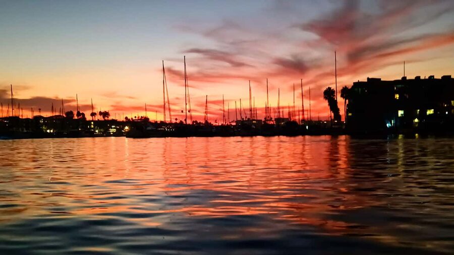 Los Angeles #1: Luxury Boat Cruise-Wine, Cheese & Sea Lions - The two-hour route, from dock to return