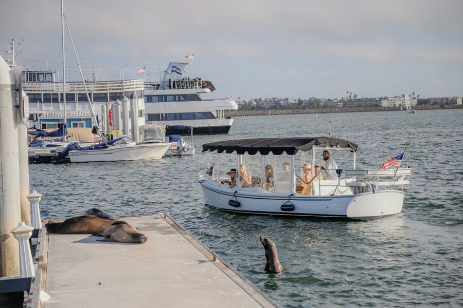 Los Angeles: Luxury Cruise with Wine, Cheese & Sea Lions - Private cruise or small group?