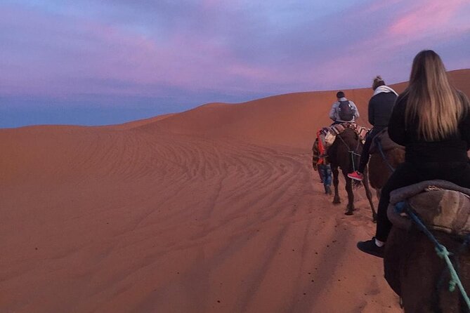 Luxury 2-Days Desert Trip from Fes to.:( fes or marakech) - Reaching Merzouga and the Erg Chebbi dunes