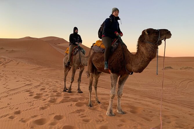 Luxury 2-Days Desert Trip from Fes to.:( fes or marakech) - What the small group and transport really mean