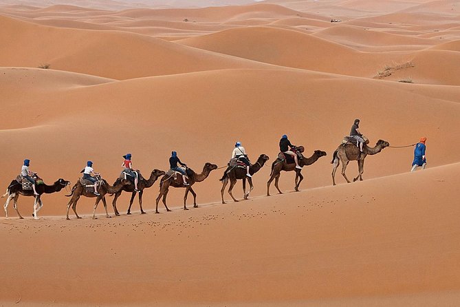 Luxury 2-Days Desert Trip from Fes to.:( fes or marakech) - Leaving Fez at 8 a.m. for Ifrane