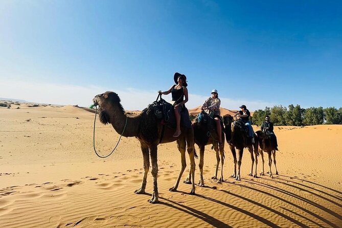 luxury 3 Days 2 Nights Desert Tour from Fez to Marrakesh - Day 1: From Fez’s cedar country to Erg Chebbi