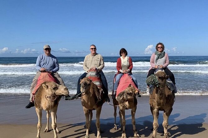 luxury 4 Hour Private Tour of Tangier - Entering the Kasbah above the city