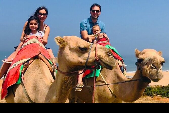 luxury 4 Hour Private Tour of Tangier - Kasbah Museum and Mediterranean cultures