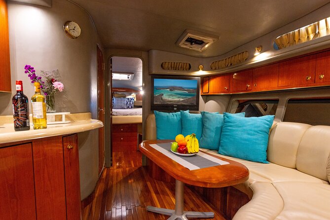 Luxury 42' Yacht Tour in Cabo for Snorkeling and Sunset - Passing the sea lions and Cabo’s famous Arch
