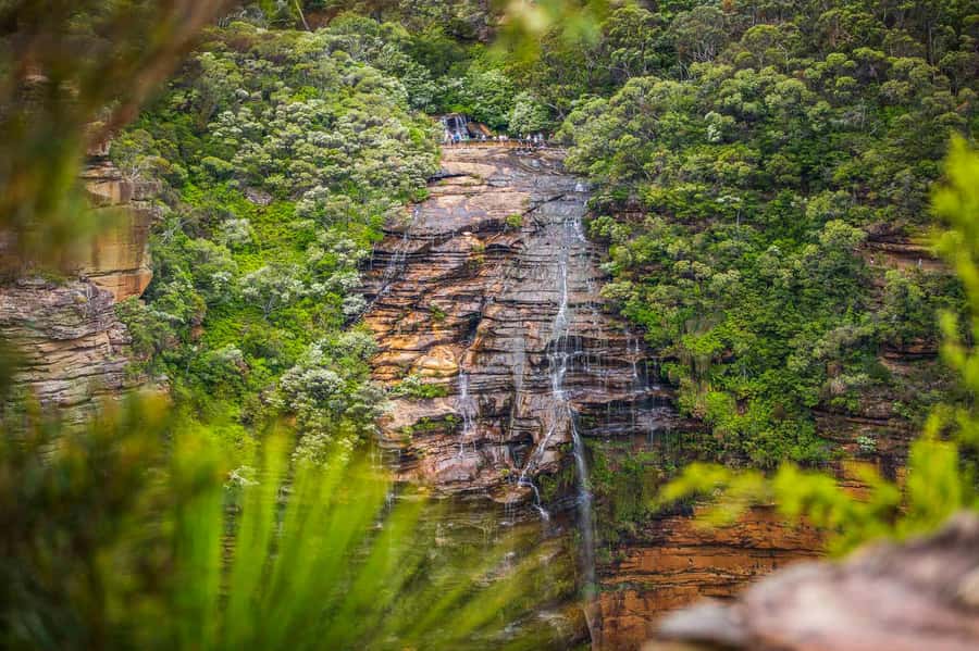 Luxury Blue Mountains Escape The Crowds Tour - Katoomba, lunch, and the one-hour pause