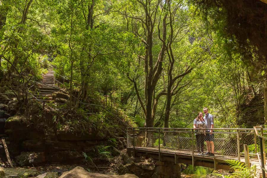 Luxury Blue Mountains Escape The Crowds Tour - What the guide adds to the day