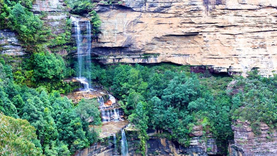 Luxury Blue Mountains Escape The Crowds Tour - The lower mountains and first coffee stop