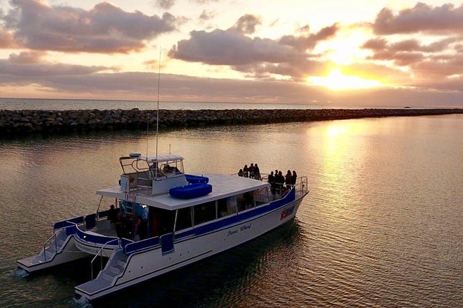 Luxury Catamaran Sunset and Wine Cruise from Dana Point - Key points to know before booking