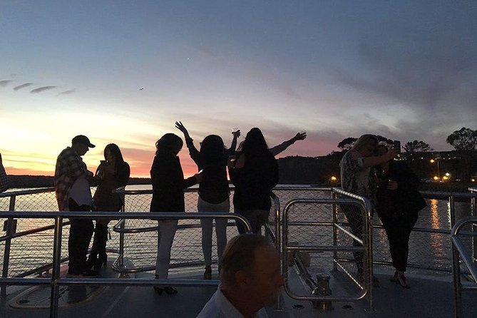 Luxury Catamaran Sunset and Wine Cruise from Dana Point - Harbor views, lights, seals, and pelicans