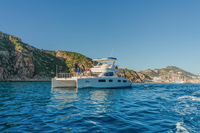 Luxury Catamaran Whale Watching Cabo San Lucas - A luxury whale watch with real wildlife, not a staged show