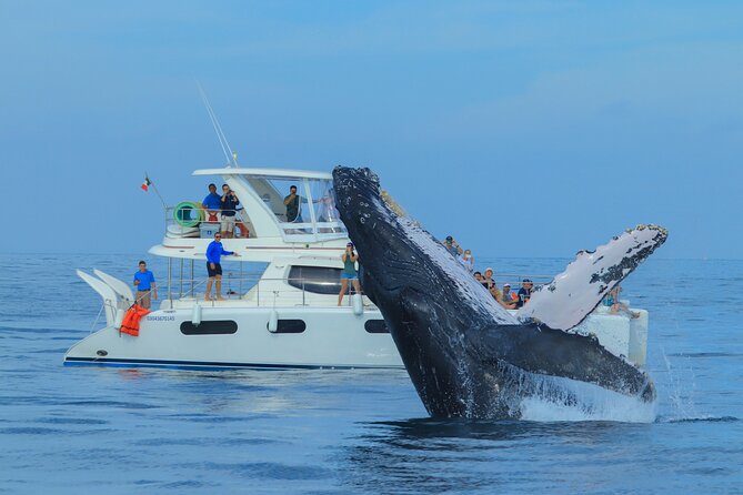 Luxury Catamaran Whale Watching Cabo San Lucas - Boarding the catamaran in Los Cabos