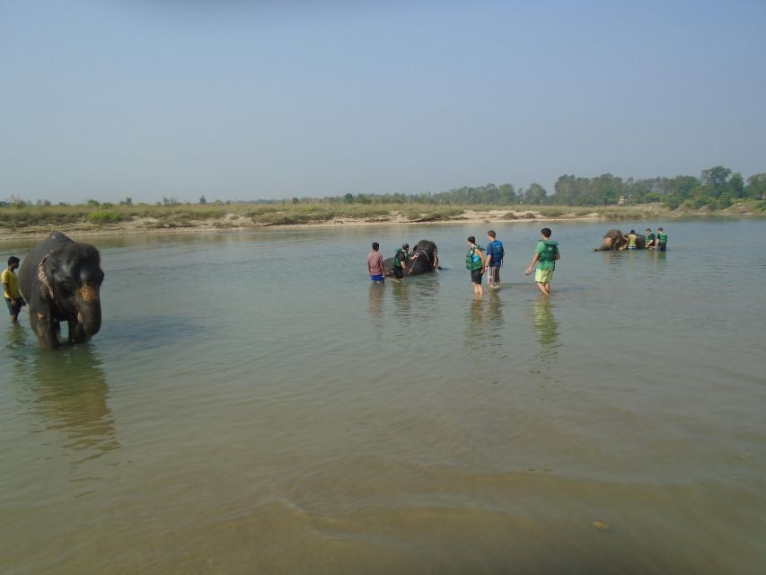 Luxury Chitwan Jungle Safari Package (2Nights/3Days) Resort - Arriving at the resort for two nights