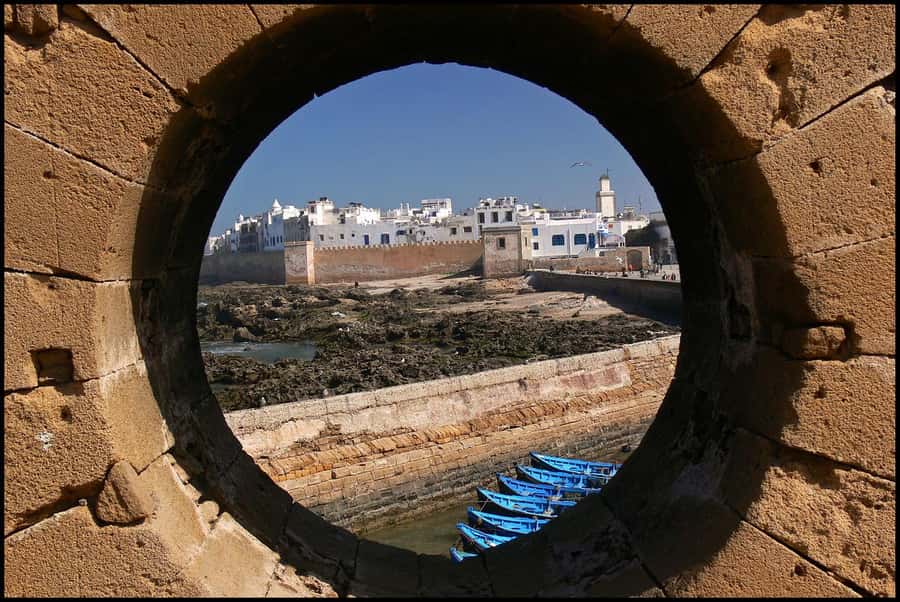 Luxury day trip to Essaouira from Marrakech - The argan-oil cooperative and the goat stop