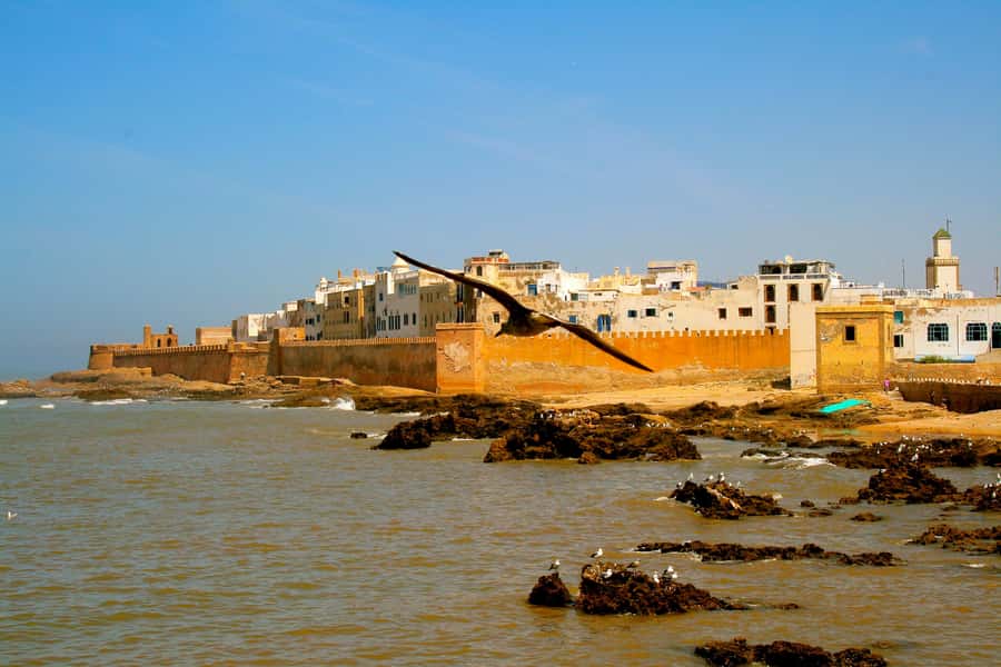Luxury day trip to Essaouira from Marrakech - Four hours to choose your own Essaouira