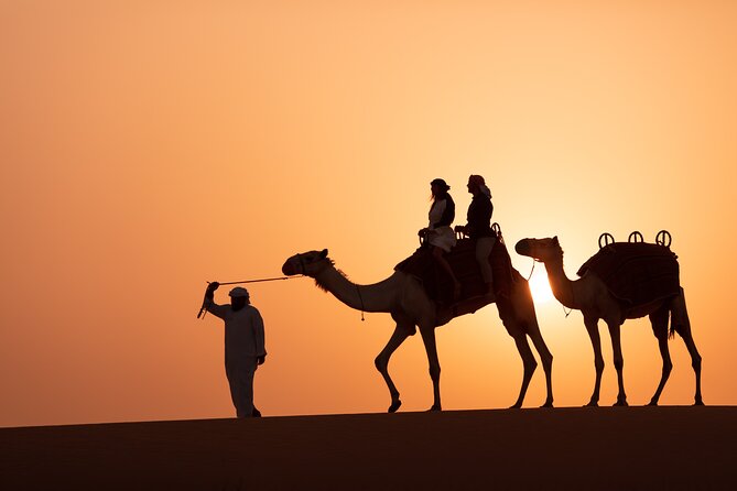 Luxury Desert Safari with Michelin-Curated Fine Dining Experience - The camel ride is short, scenic, and well placed