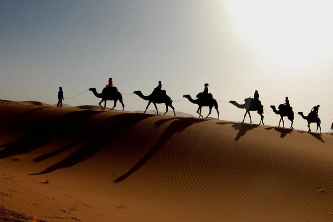 luxury desert tour 3days 2 night fez merzouga ouarzazat marakech - Camel tracks into the Merzouga dunes