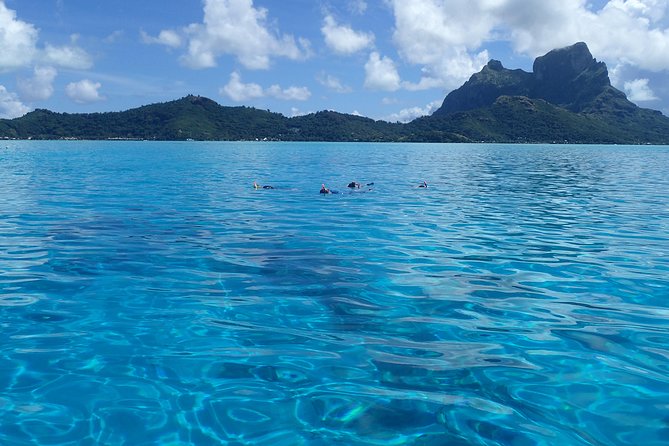 Luxury Full Day Snorkeling - A private format with room to set the pace