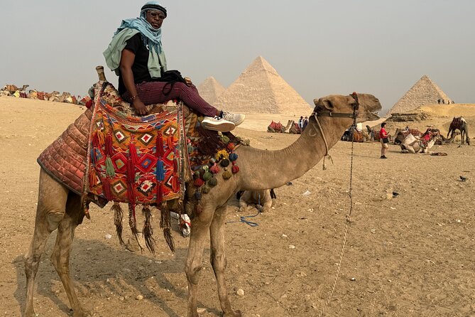 Luxury Half Day Tour to Giza Pyramids and sphinx with Camel Ride - The Great Sphinx in a focused 30 minutes