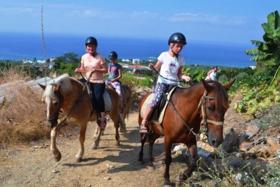 Luxury Harem Maldives Alanya All Inclusive Boat Adventure - Who should book this boat day?