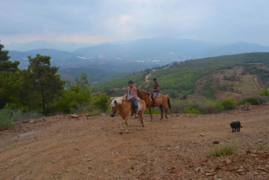 Luxury Harem Maldives Alanya All Inclusive Boat Adventure - The first swim and the three cave stops