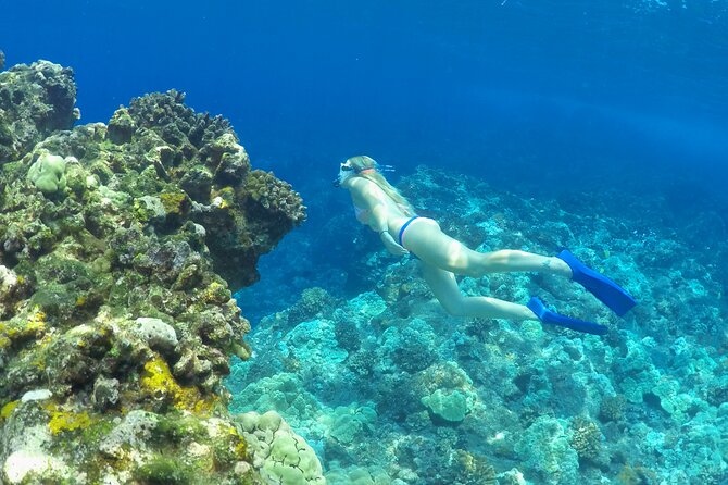 Luxury Kona Coast Snorkel Tour Including Lunch - Puʻu ʻOhau and the Red Hill reefs