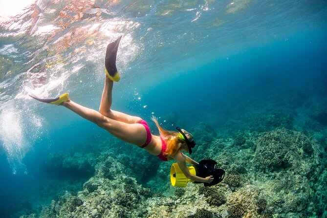 Luxury Kona Coast Snorkel Tour Including Lunch - Wildlife sightings are possible, not guaranteed