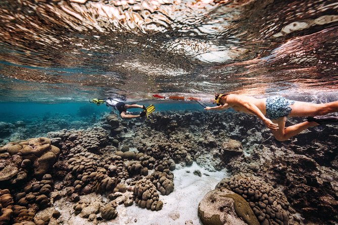 Luxury Lagoon Cruise with Onboard Chef and Signature Cocktails - Who will enjoy this cruise most?
