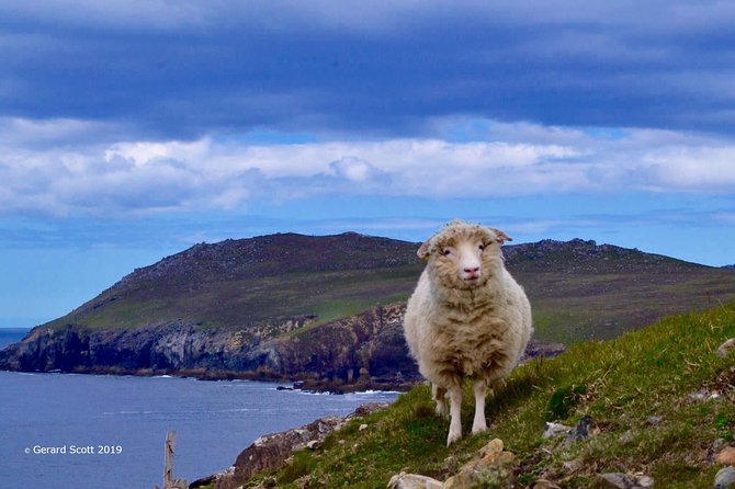 Luxury 'Luck of the Irish' Tour - 4 Day Tour - Day one, from Dublin Heuston to Blarney Castle